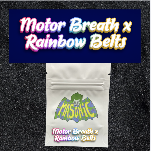 Motor Breath x Rainbow Belts